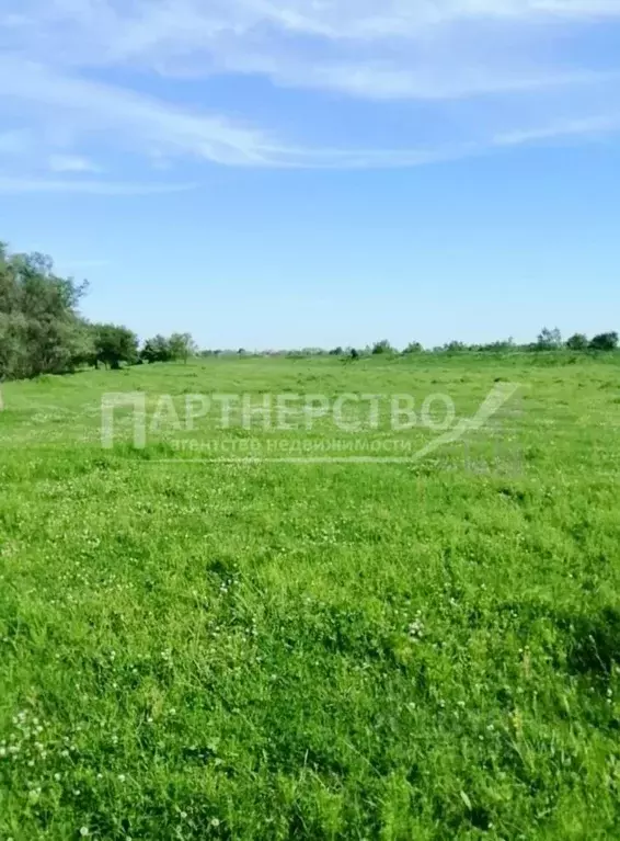 Участок в Краснодарский край, Северский район, Ильское городское ... - Фото 0