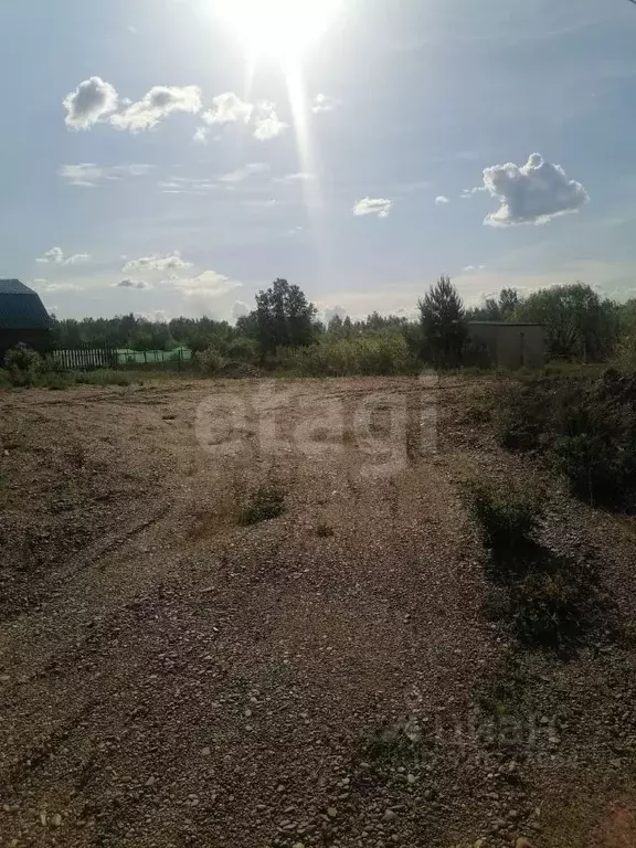 Участок в Амурская область, Благовещенский район, Станичное тер.  ... - Фото 0