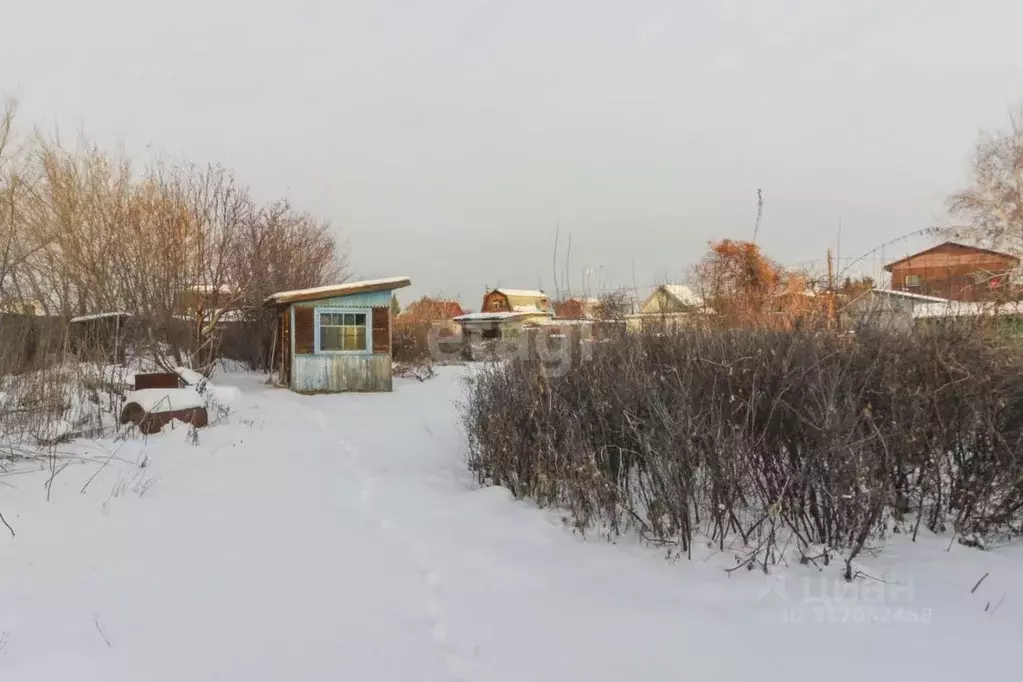 Участок в Омская область, Омск СОСН Яблонька тер., аллея Центральная ... - Фото 0