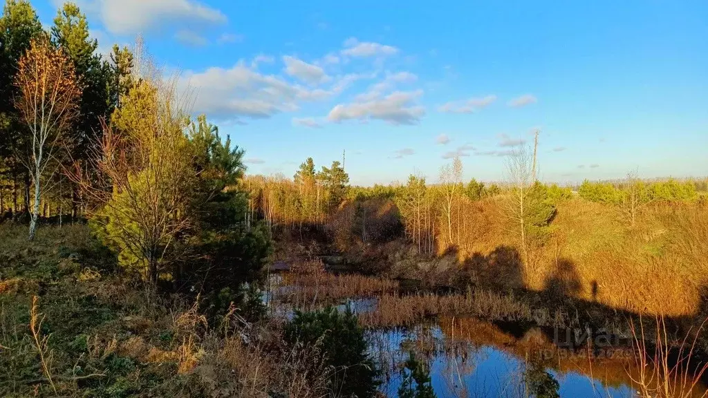 Участок в Свердловская область, Сысертский городской округ, с. Щелкун  ... - Фото 0