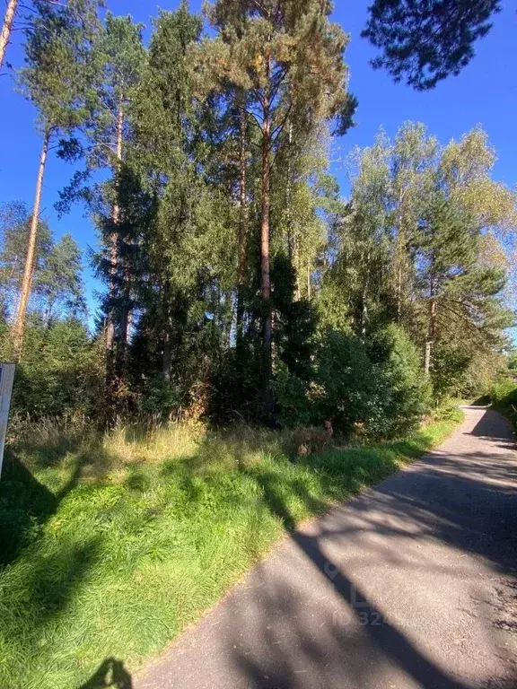 Участок в Московская область, Щелково городской округ, д. Кишкино  ... - Фото 2