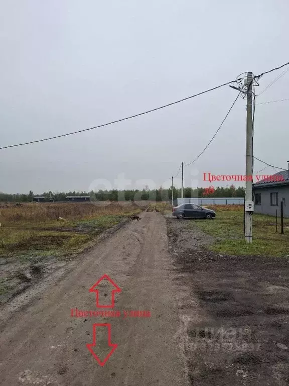 Участок в Воронежская область, Верхнехавский район, Углянское с/пос, ... - Фото 2