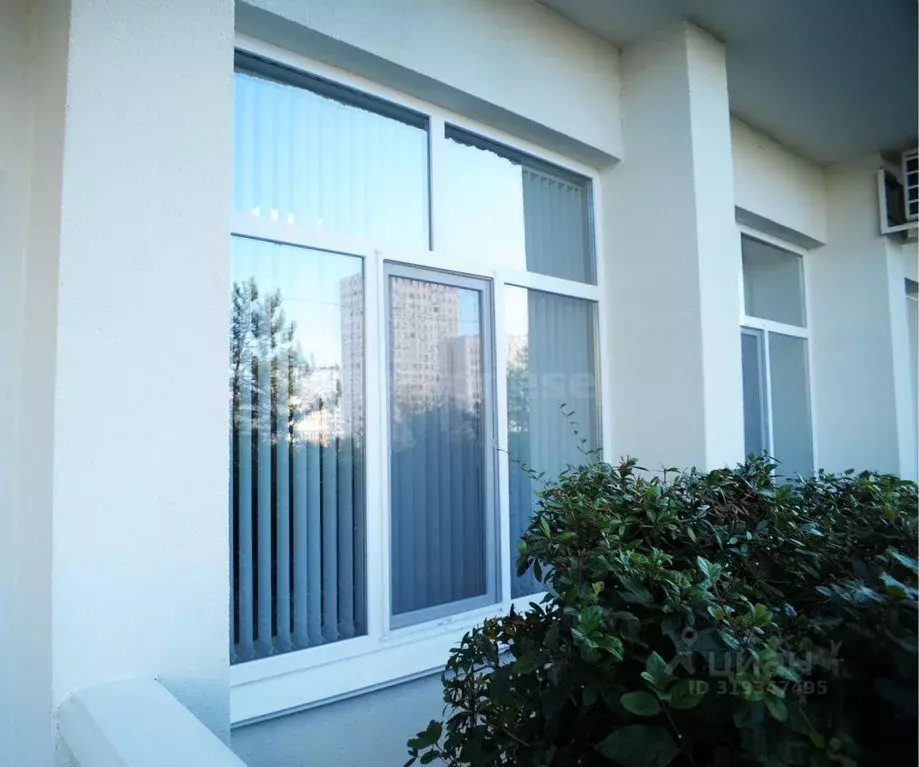 Офис в Севастополь ул. Павла Корчагина, 34 (15 м) - Фото 1