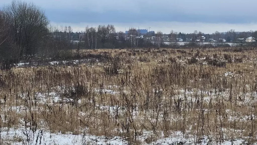 Участок в Московская область, Домодедово городской округ, д. Ловцово  ... - Фото 1