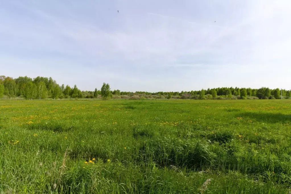 Участок в Краснодарский край, Ейское городское поселение, пос. ... - Фото 1