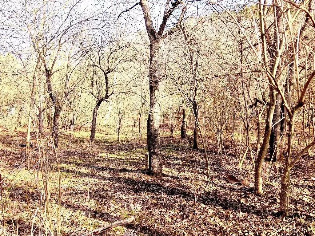 Участок в Кисловодск, Прудная улица (6 м) - Фото 1