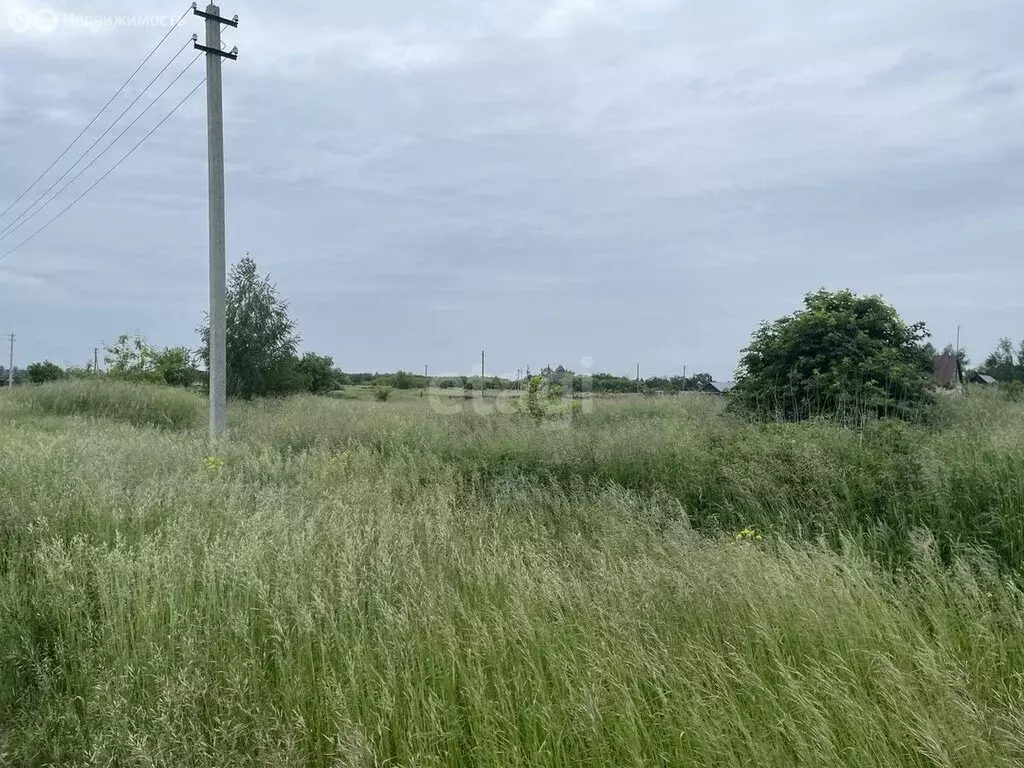 Участок в деревня Даниловка, Школьная улица (15 м) - Фото 1