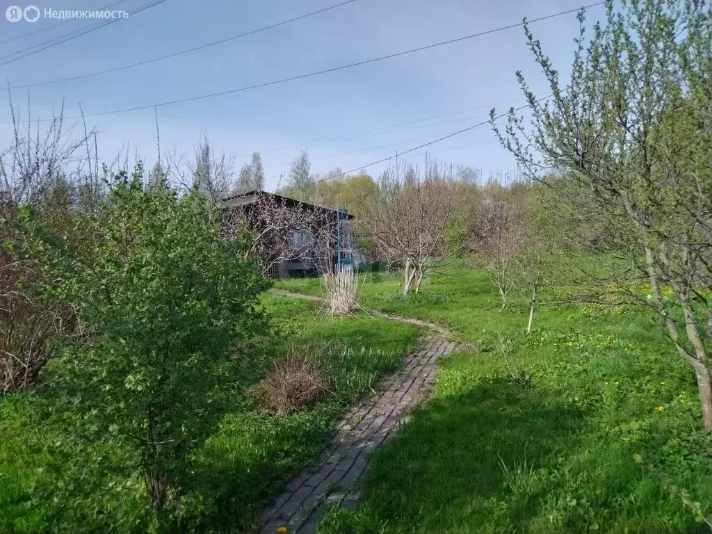 Участок в Пушкин, СНТ Коллективный Сад № 6 (10.2 м) - Фото 2