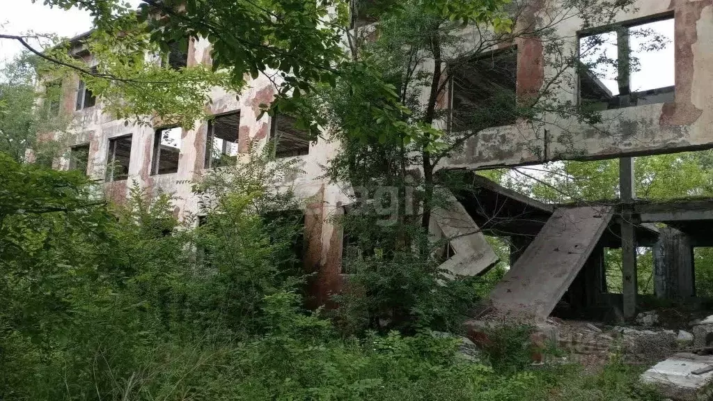 Помещение свободного назначения в Хабаровский край, Хабаровск ... - Фото 0