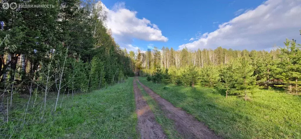 Участок в посёлок Прохладный, коттеджный посёлок Чистые росы (6.28 м) - Фото 1