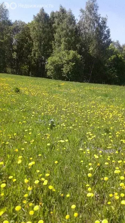Участок в Заокский район, сельское поселение Демидовское, коттеджный ... - Фото 2