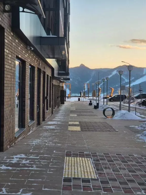 2-к кв. Красноярский край, Красноярск ул. Академгородок, 80 (65.2 м) - Фото 2