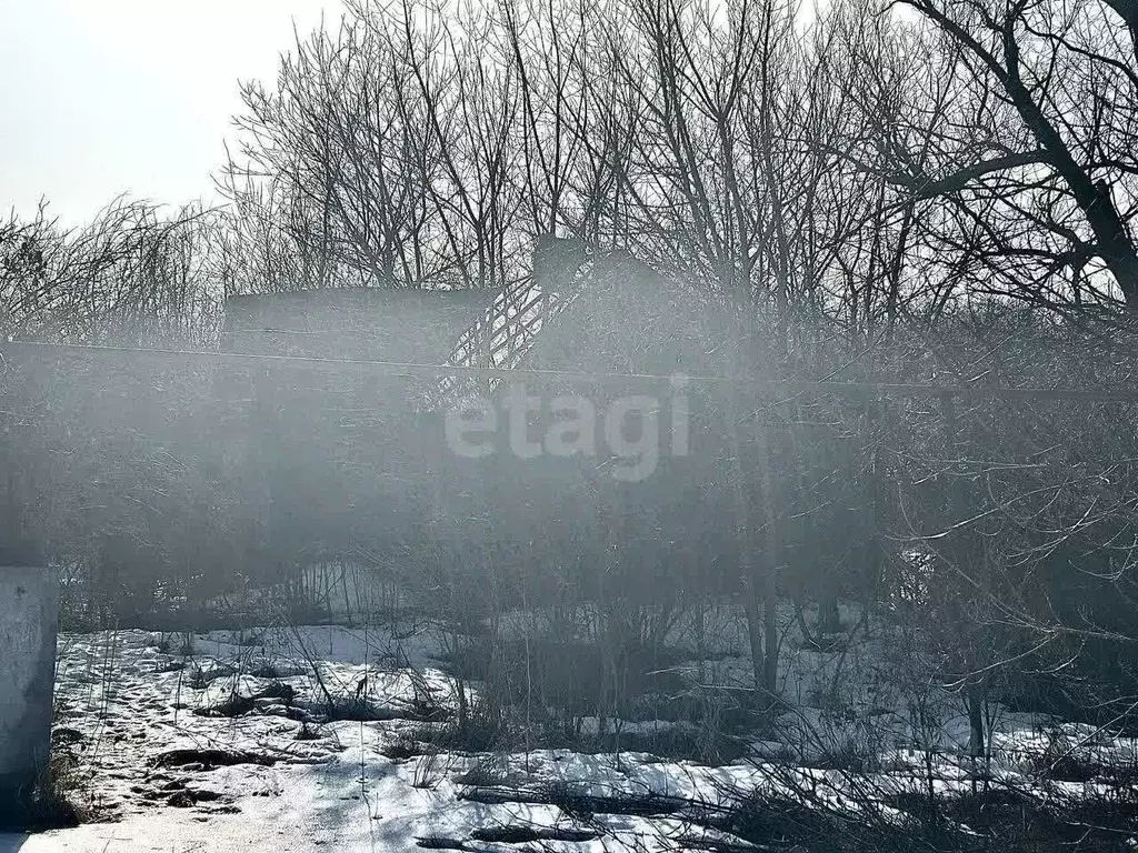 Участок в Белгородская область, Яковлевский муниципальный округ, с. ... - Фото 2