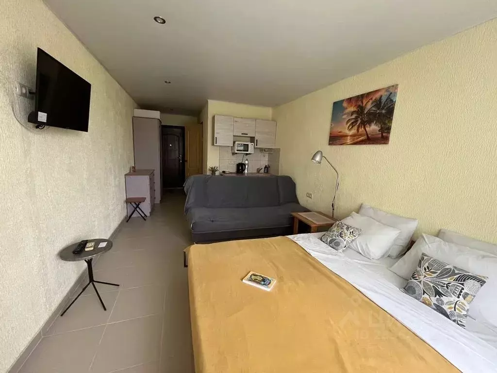 Студия Крым, Черноморский район, с. Межводное ул. Советская, 21 (25.0 ... - Фото 1