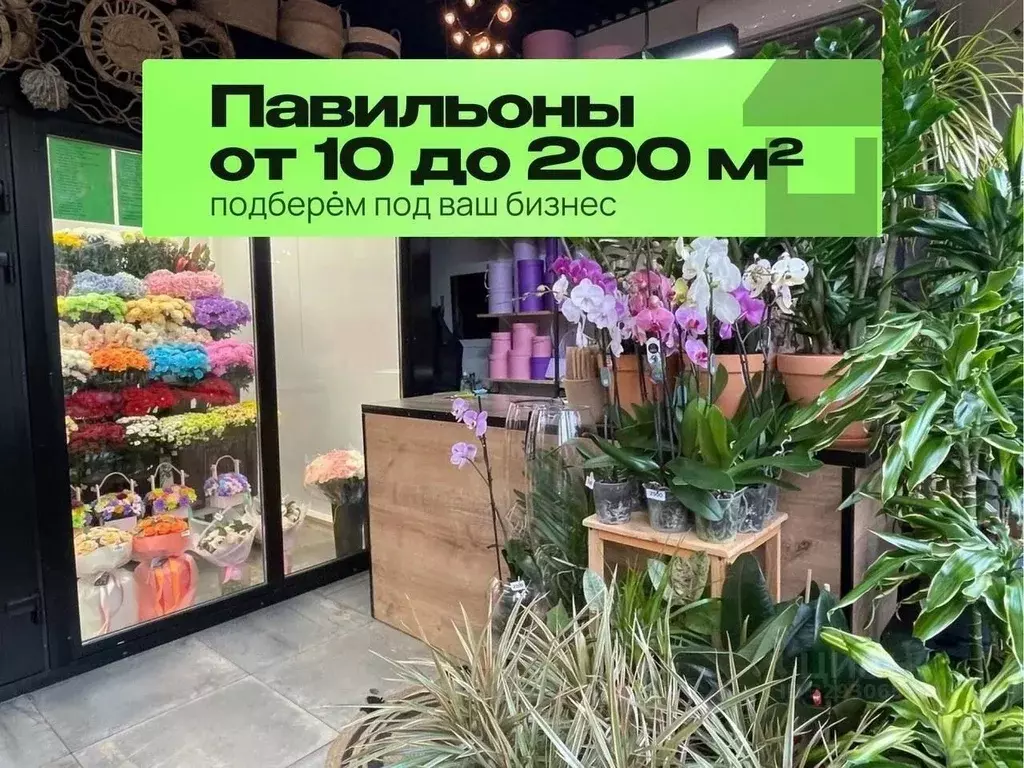 Торговая площадь в Московская область, Чехов ул. Уездная, 19Б (55 м) - Фото 2