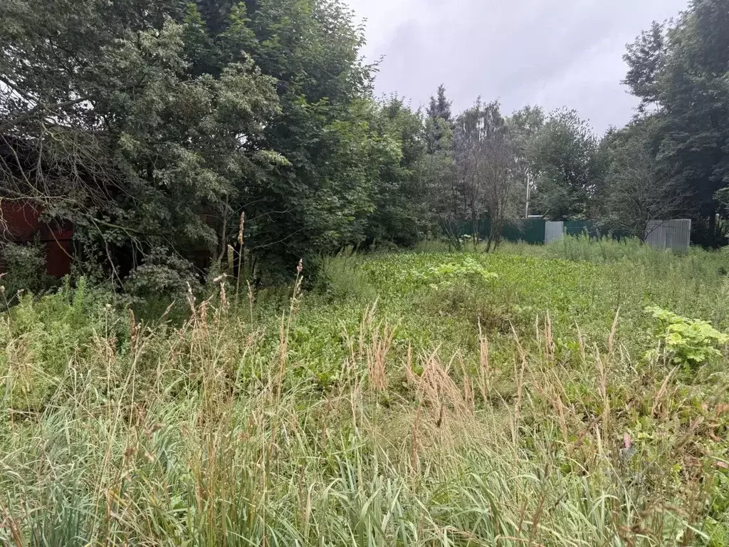 Участок в Московская область, Пушкинский городской округ, с. Царево  ... - Фото 2