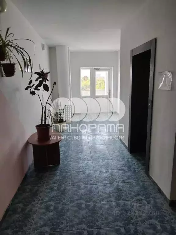 2-к кв. Краснодарский край, Анапа ул. Самбурова, 158 (72.0 м) - Фото 2