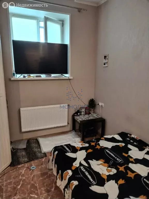 Квартира-студия: деревня Брёхово, Зелёная улица, 5 (21 м) - Фото 1