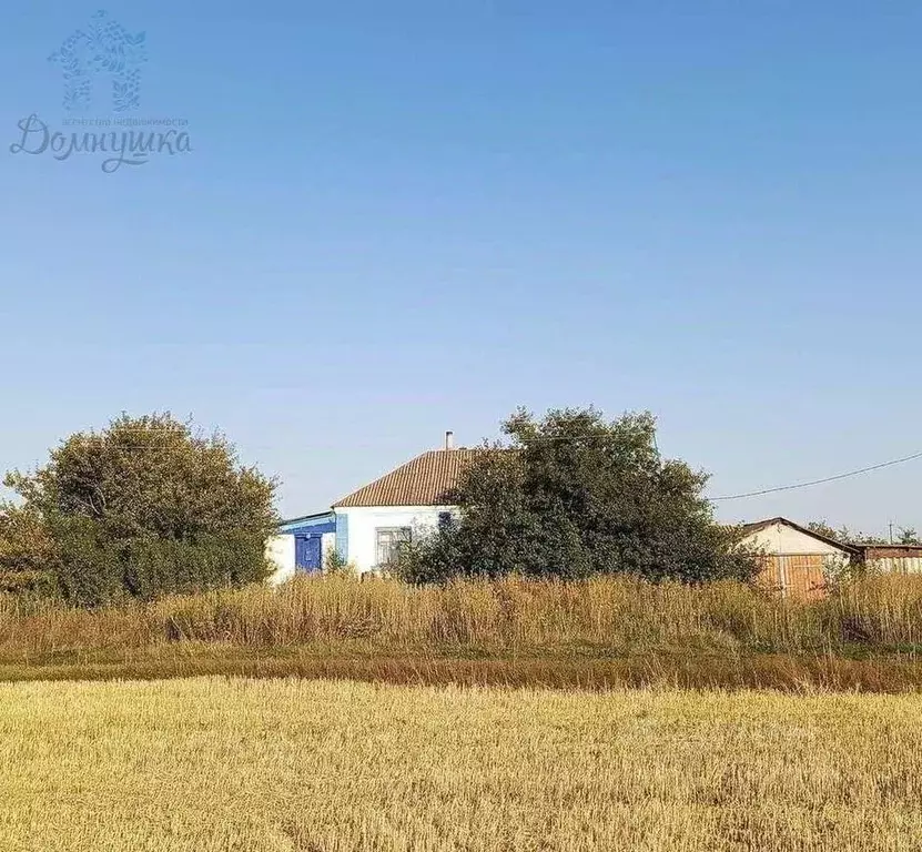 Дом в Воронежская область, Верхнехавский район, с. Плясоватка Заречная ... - Фото 1