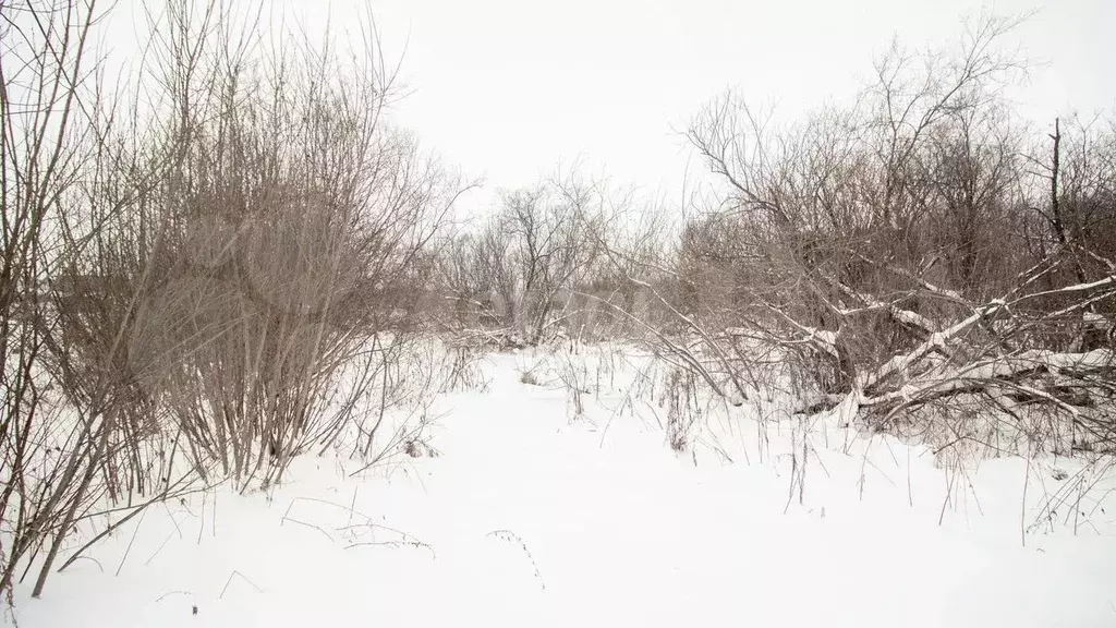 Участок 11,3 сот. (ИЖС) - Фото 1