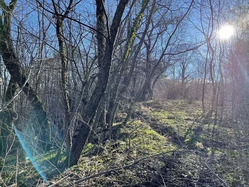 Участок в Крым, Ялта городской округ, Виноградное пгт ул. Магоби-2, 9 ... - Фото 0