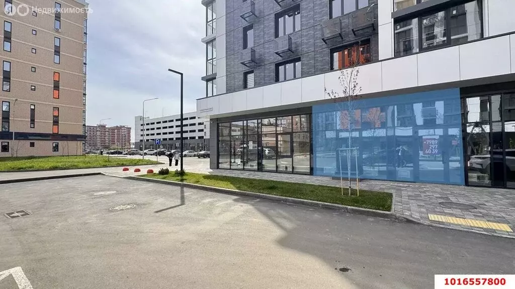 Торговая площадь (48.1 м) - Фото 2