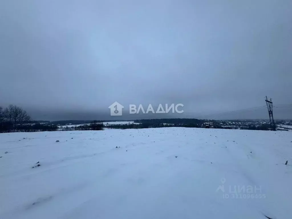 Участок в Московская область, Наро-Фоминский городской округ, д. ... - Фото 1