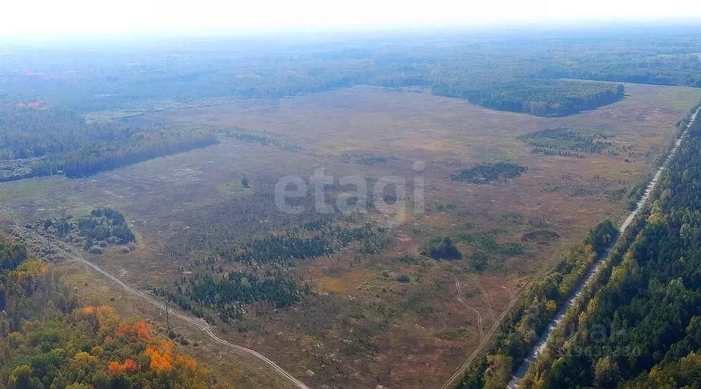 Участок в Тюменская область, Нижнетавдинский район, д. Московка  (6.3 ... - Фото 0