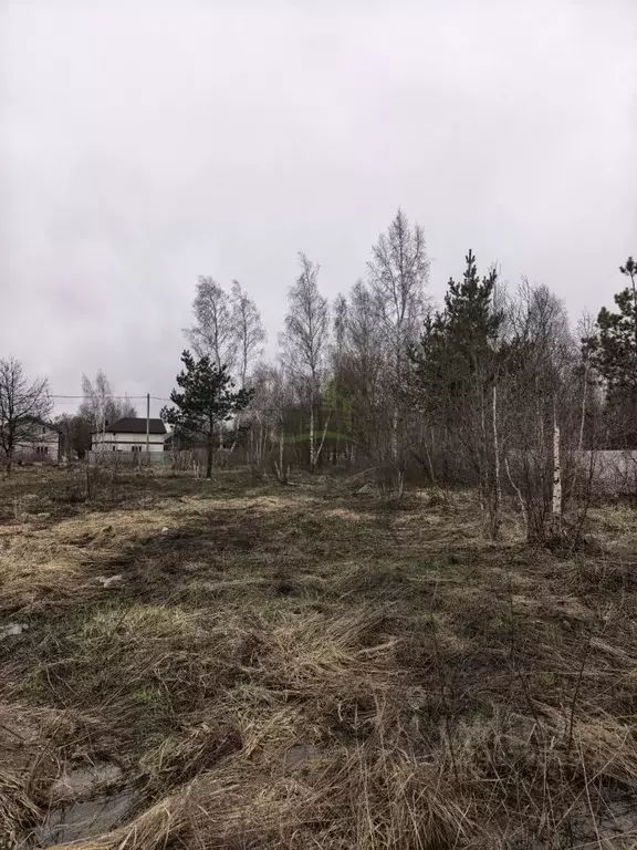 Участок в Московская область, Раменское Дергаево-2 кп,  (6.0 сот.) - Фото 2