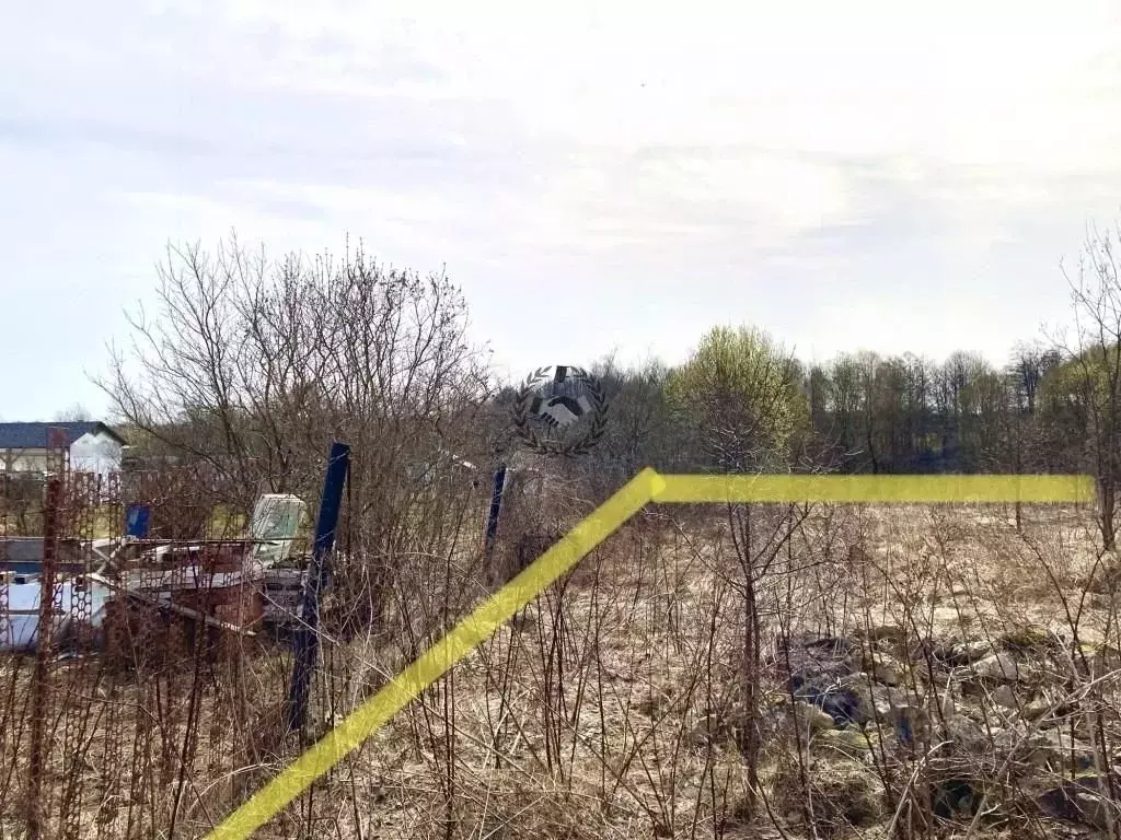 Участок в Калужская область, Дзержинский район, Совхоз Чкаловский ... - Фото 2
