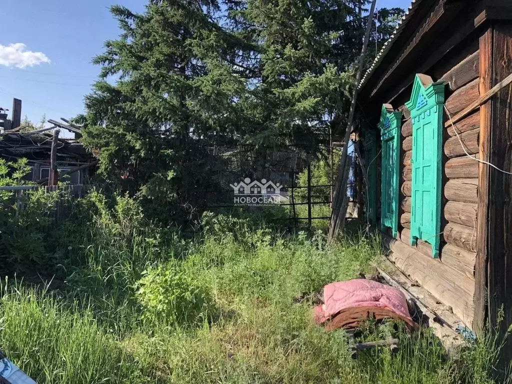 Погода в новой куке. Новая Кука Читинский район. Фото деревни новая Кука.