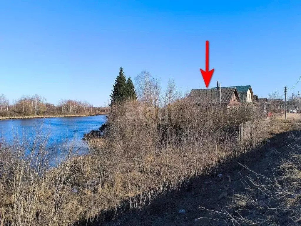 Дом в Нижегородская область, Навашино Советская ул., 2 (44 м) - Фото 1