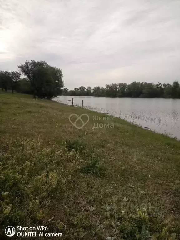Участок в Волгоградская область, Калачевский район, Голубинское с/пос, ... - Фото 1
