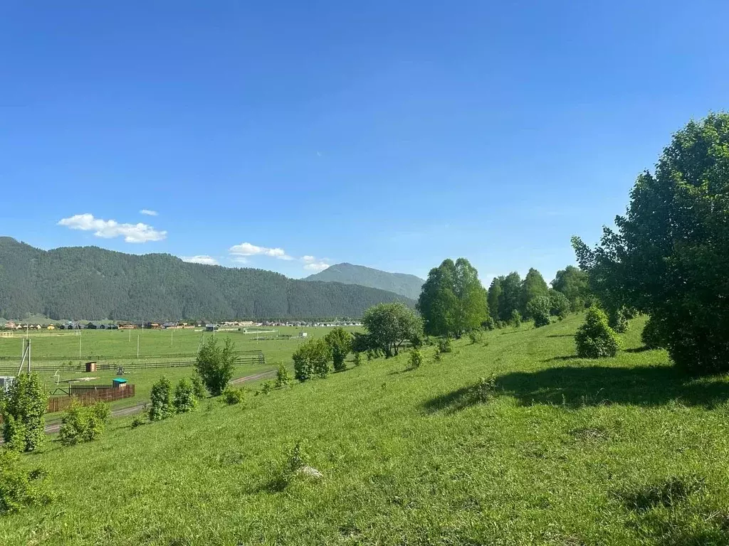 Участок в Алтай, Чемальский район, Аносинское с/пос  (15.68 сот.) - Фото 1