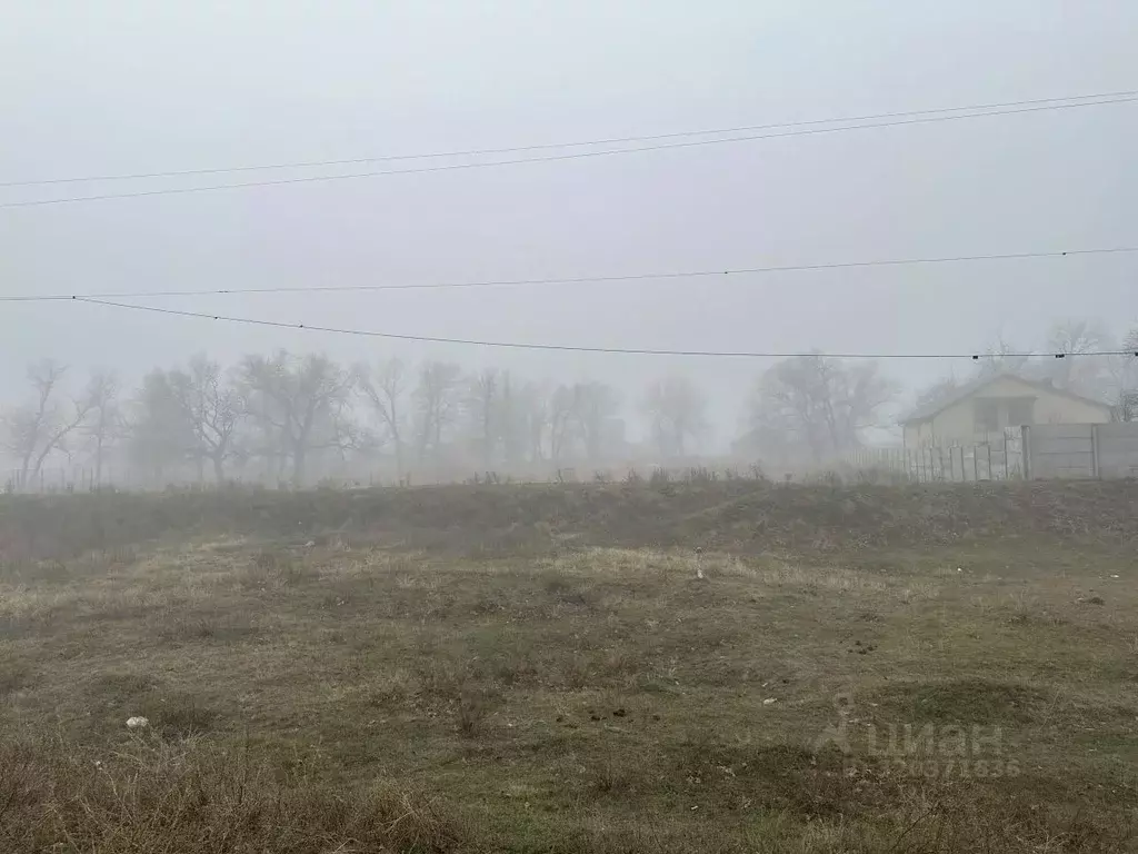 Участок в Волгоградская область, Среднеахтубинский район, ... - Фото 1