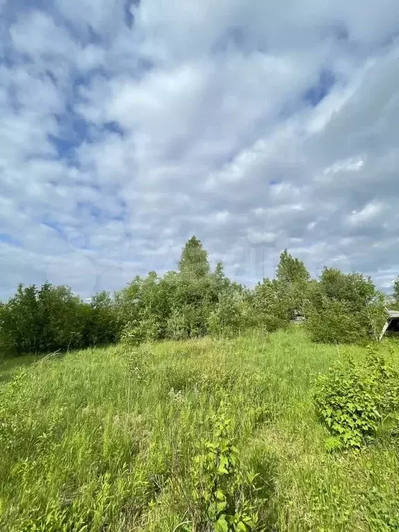 Участок 6 сот. (СНТ, ДНП) - Фото 0
