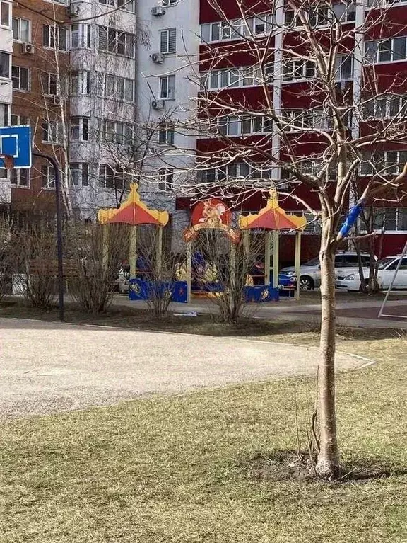 1-к кв. Самарская область, Тольятти Калмыцкая ул., 48 (37.6 м) - Фото 0