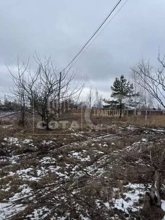 Участок в Воронежская область, с. Новая Усмань ул. Нахимовская, 93 ... - Фото 0