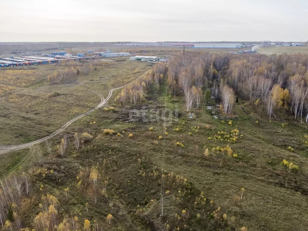 Участок в Новосибирская область, Новосибирский район, Станционный ... - Фото 1