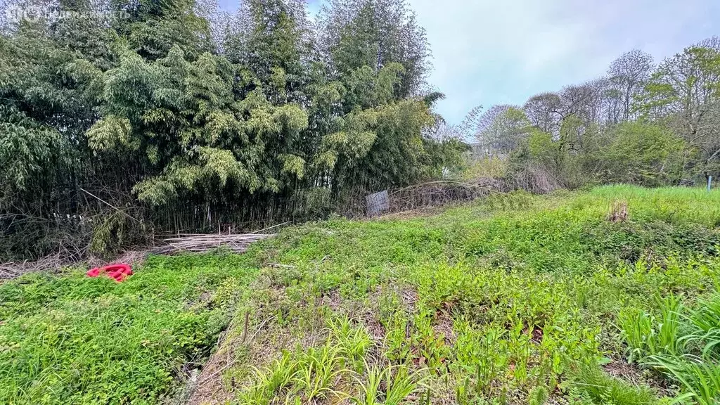 Участок в село Волковка, улица Передовиков (4 м) - Фото 1