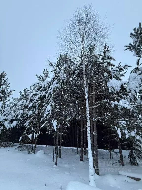 Участок в Свердловская область, Белоярский муниципальный округ  (3.64 ... - Фото 1