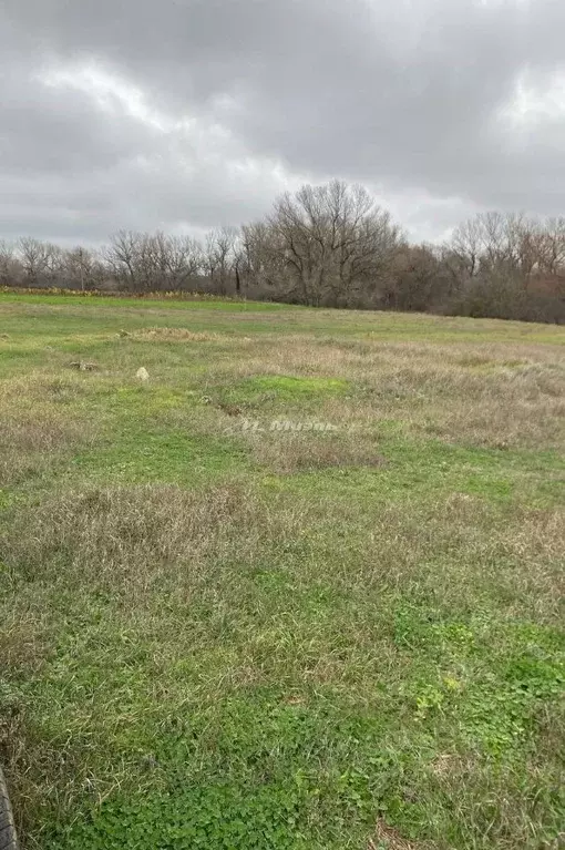 Участок в Крым, Белогорский район, Цветочненское с/пос, с. Долиновка ... - Фото 2