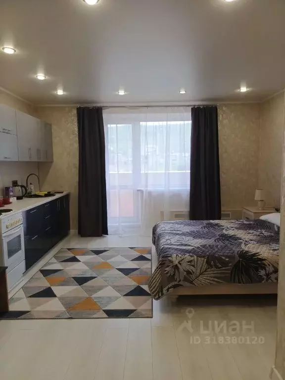 1-к кв. Челябинская область, Миасс ул. Романенко, 4 (38.0 м) - Фото 1