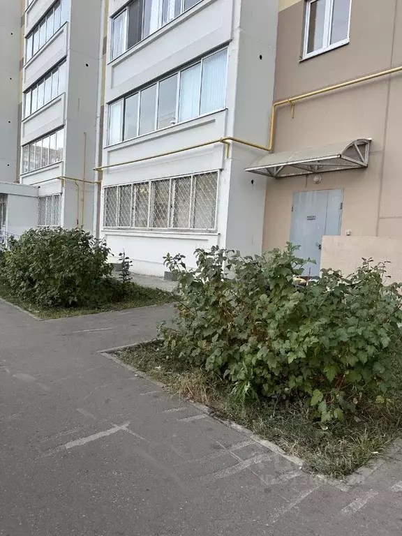 3-к кв. Татарстан, Набережные Челны Замелекесье мкр, 21-й мкр, 21/16 ... - Фото 2