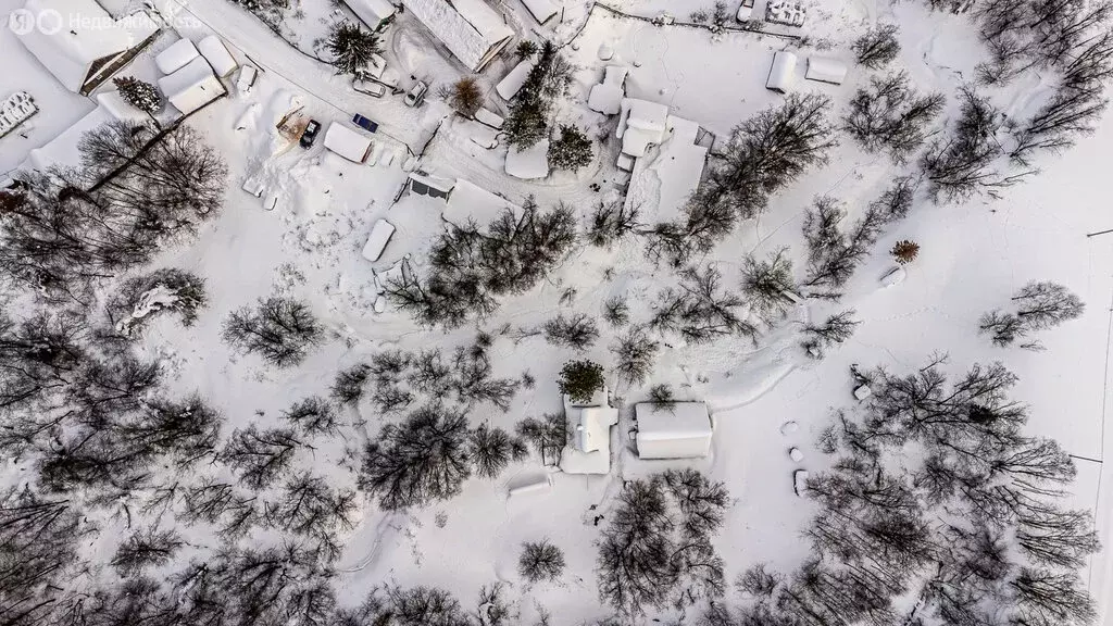 Участок в Пермский муниципальный округ, деревня Тишкино (20 м) - Фото 1