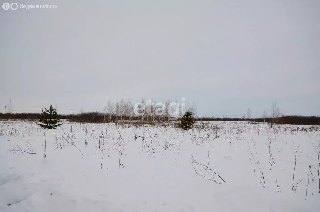 Участок в Тюменский район, садоводческое некоммерческое товарищество ... - Фото 1