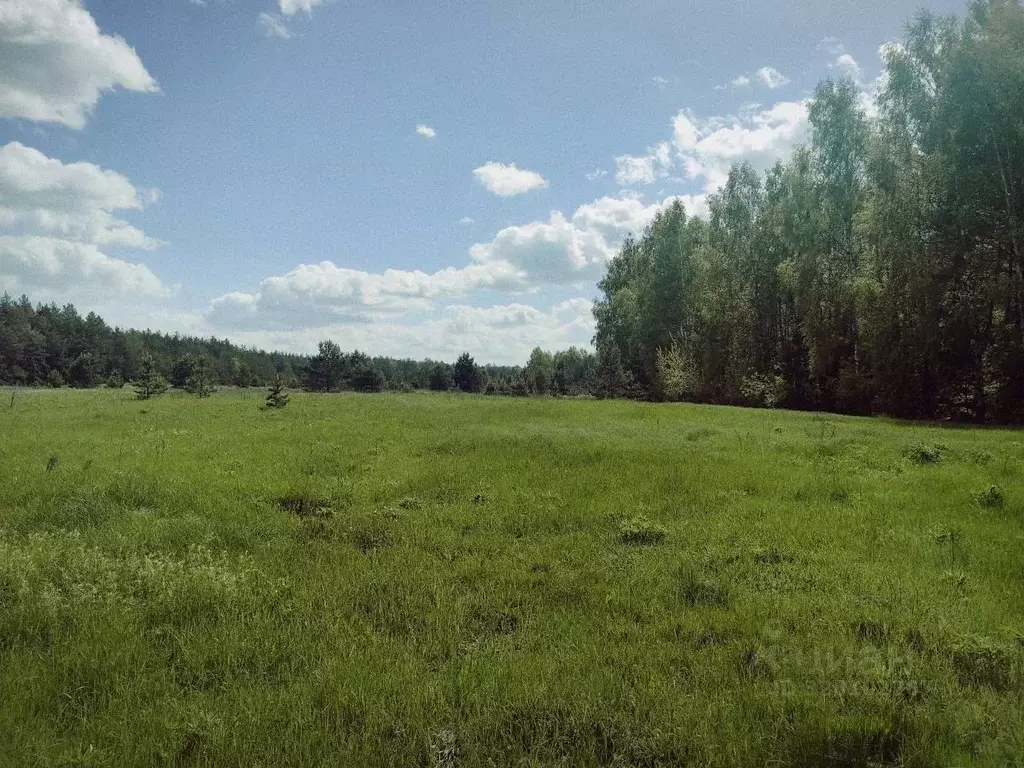Участок в Нижегородская область, Навашинский муниципальный округ  (8.3 ... - Фото 1