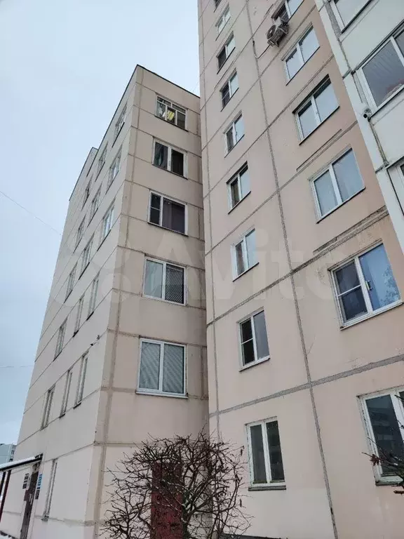 Свободного назначения, 30 м - Фото 0