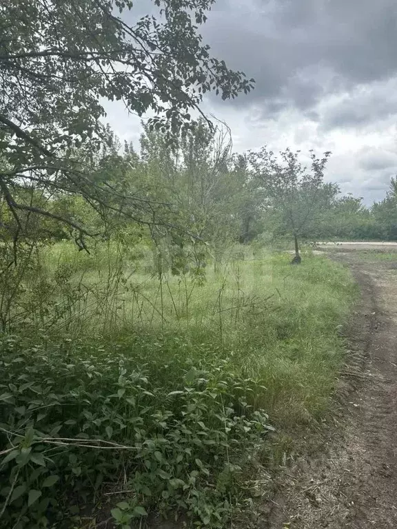 Участок в Ростовская область, Октябрьский район, пос. Персиановский, ... - Фото 2