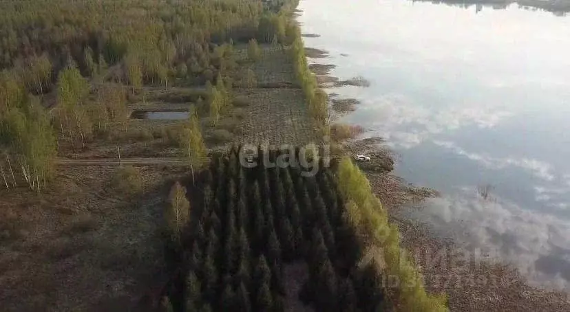 Участок в Ярославская область, Некрасовское с/пос, д. Новые Ченцы  ... - Фото 1